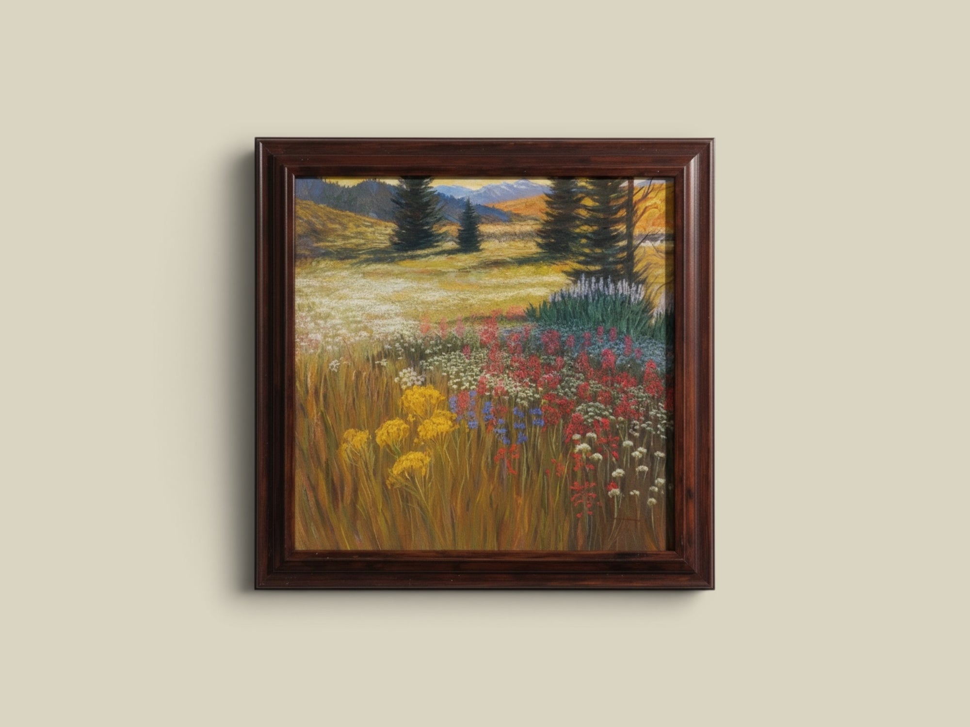 Phantom Hill Wildflowers